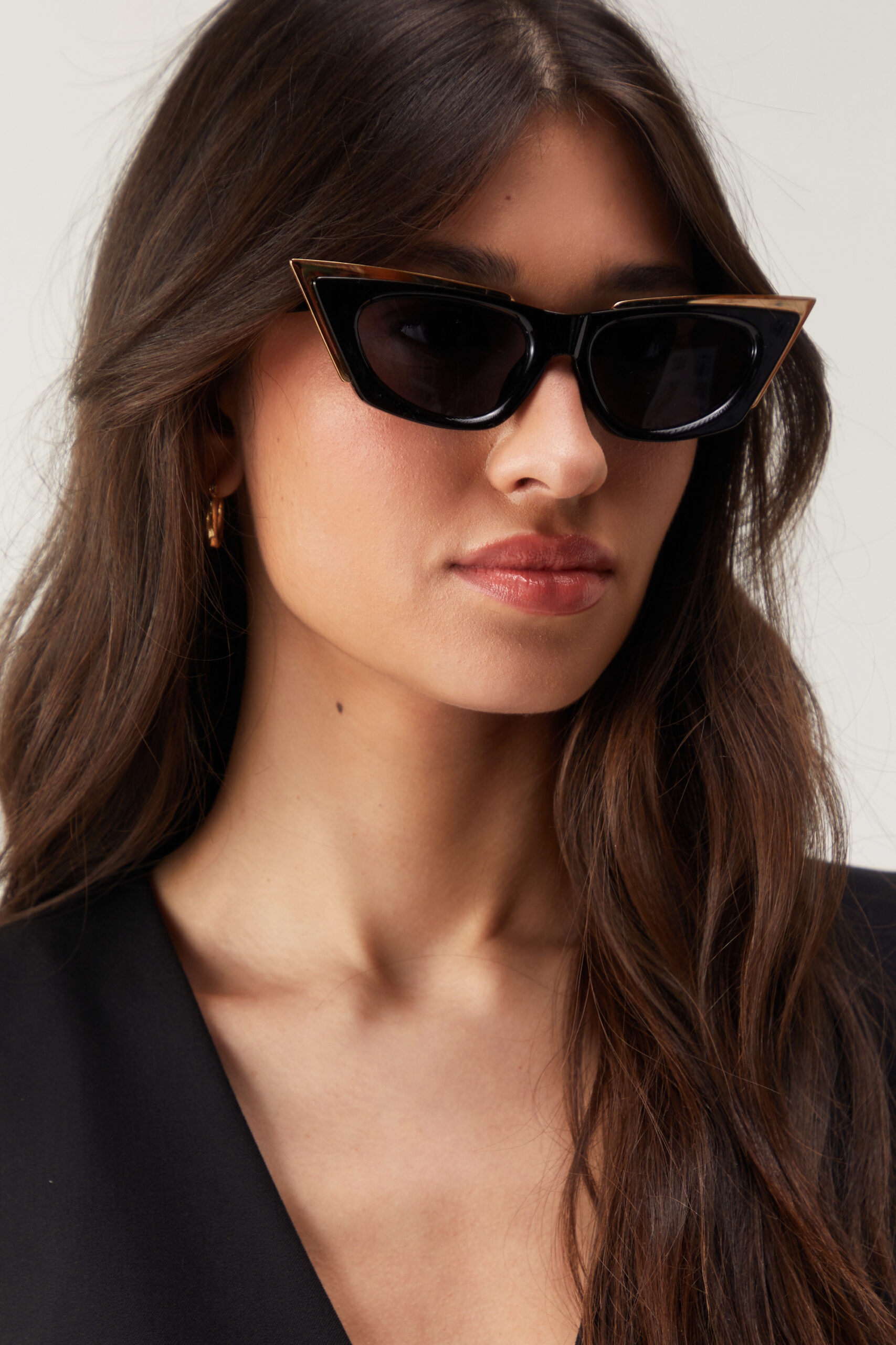 Cat Eye Metallic Trim Sunglasses