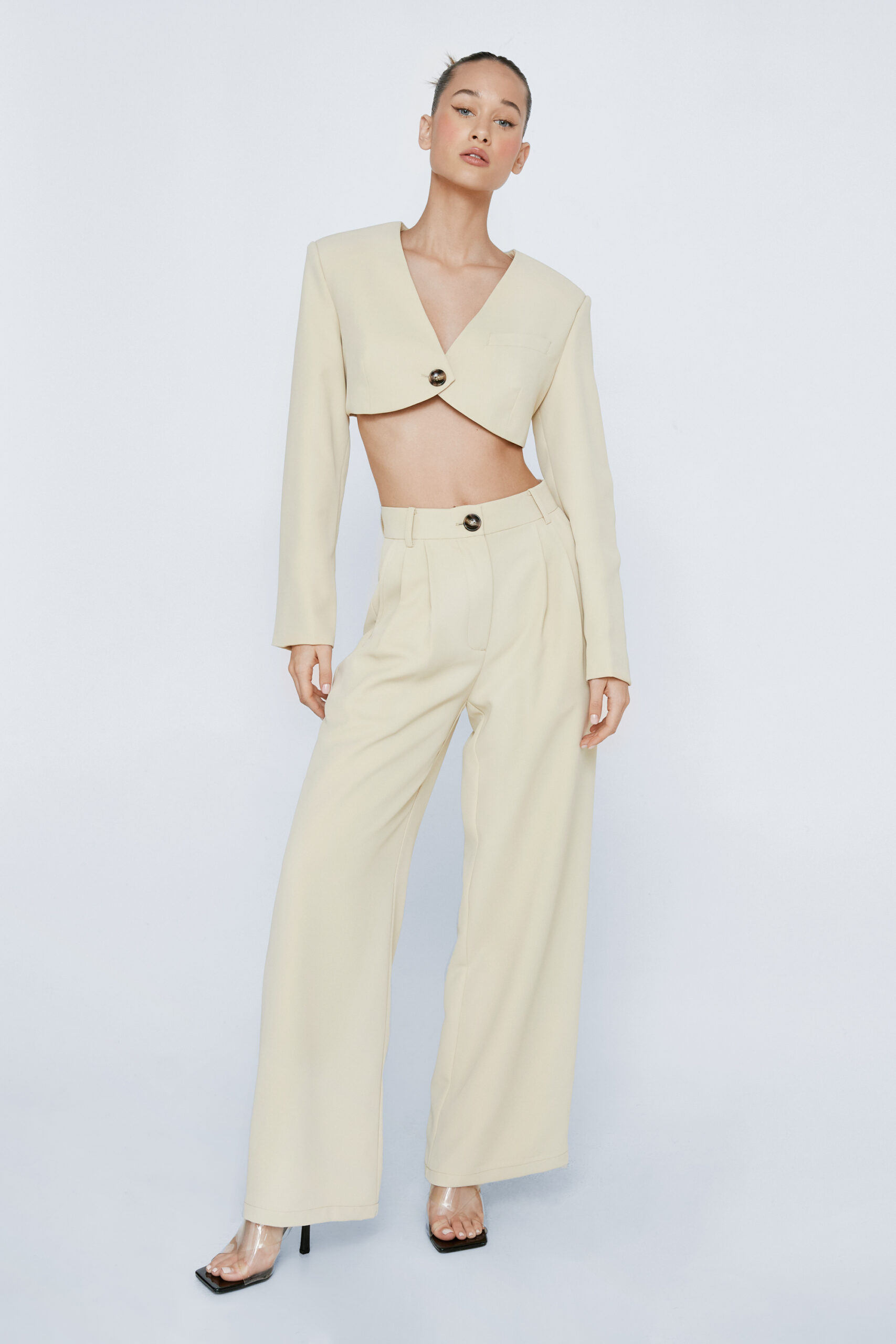 Petite Pleated Wide Leg Tailored Pants