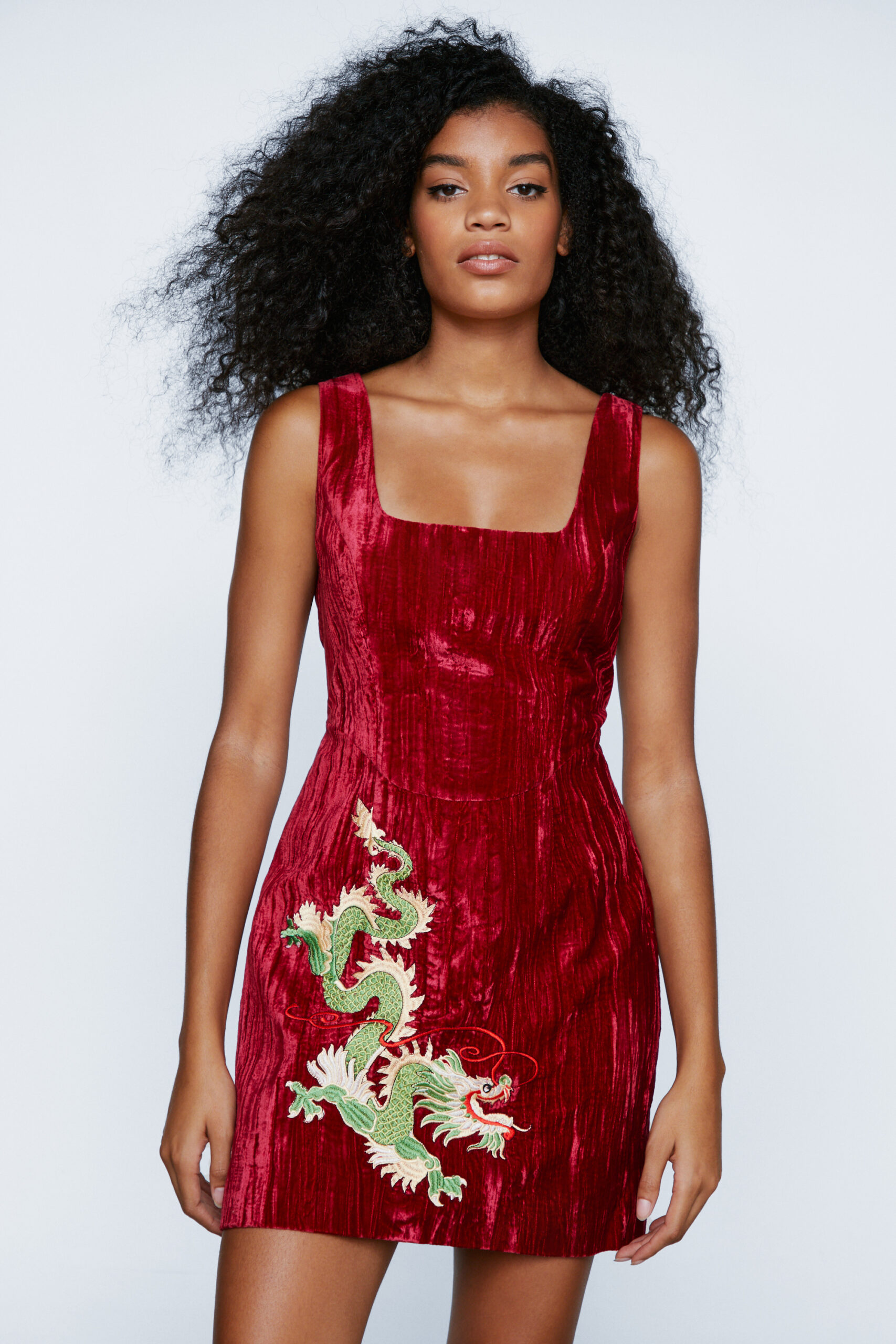 Premium Embroidered Velvet Square Neck Dress