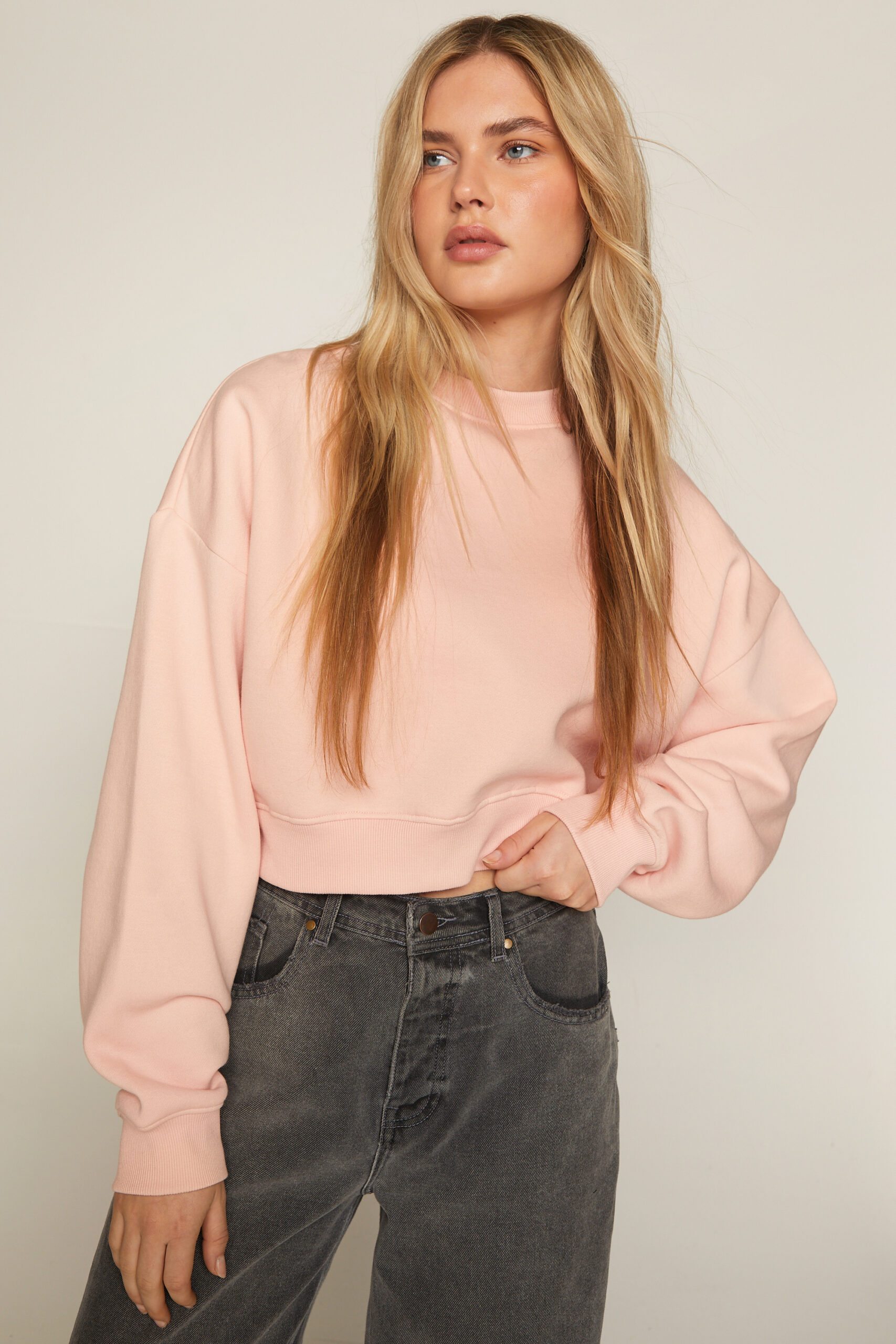 Cropped Crew Neck Sweatshirt